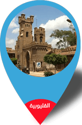  بوش كير سنتر   فى القليوبية